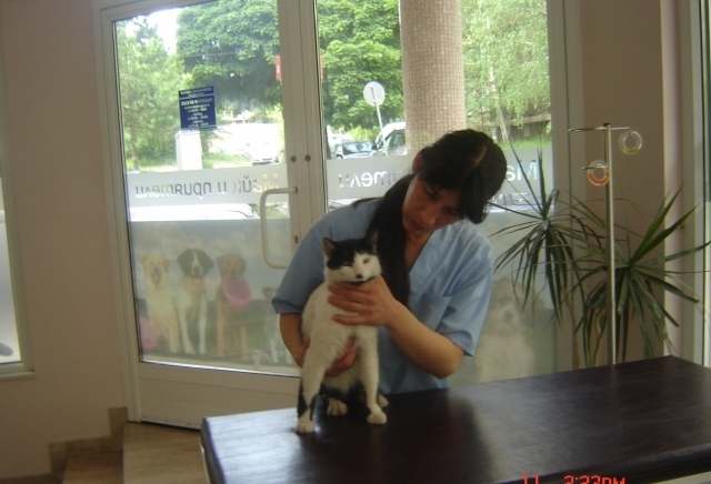 Маик и приятели  Ветеринарна клиника, град София | Ветеринарна медицина и лечебници - снимка 2