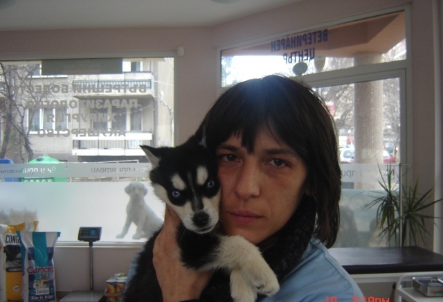 Маик и приятели  Ветеринарна клиника, град София | Ветеринарна медицина и лечебници - снимка 6