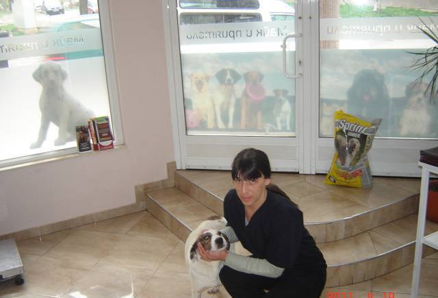 ветеринарна клиника Майк и приярели, град София | Ветеринарна медицина и лечебници - снимка 3