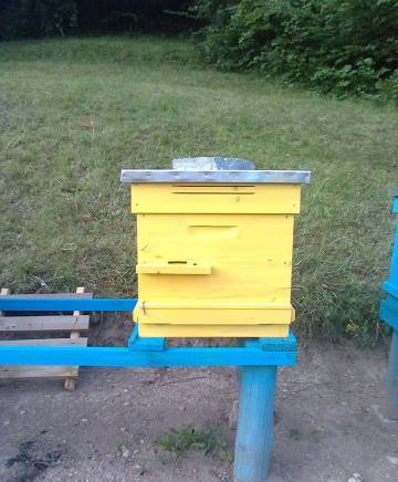 Пчелни кошери Дърво, По Поръчка, 6 месеца - град Якоруда | Мебели - снимка 3