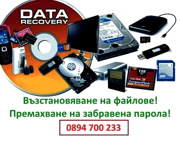 Професионално възстановяване на файлове и данни от различни носители на информация