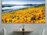 Картина пано за стена от 1 част - Пролет в жълто - HD-932-1