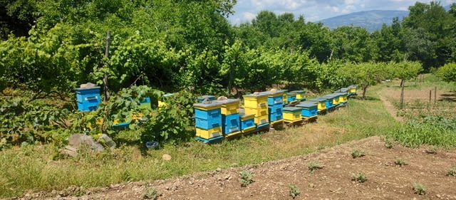 Кошерища за пчели- Кошери - Pchelni kosheri - Kosheri, city of IAkoruda | Other - снимка 5