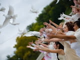 Бели гълъби за сватби