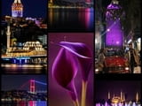 Фестивал на лалето в Истанбул за 3 нощувки
