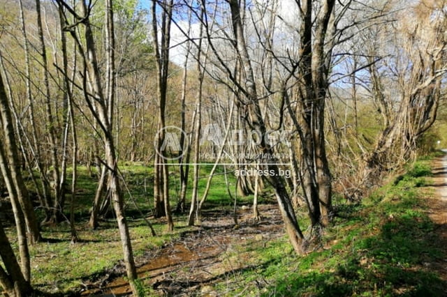 Парцел за вилно селище или комплекс от затворен тип край с. Лиляново, на 8 км от Сандански - снимка 4