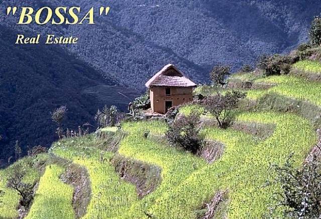 "BOSSA real estate" - city of Veliko Tarnovo | Real Estate