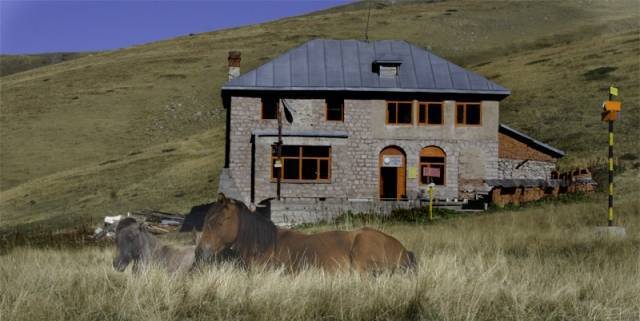 ТД "Айгидик" - град Благоевград | Туристически агенции и туроператори