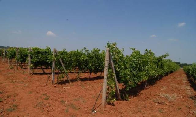 Аквамат 2000 ООД - град София | Земеделие