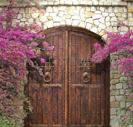 Кастро  ЕООД - град Видин | Дейности