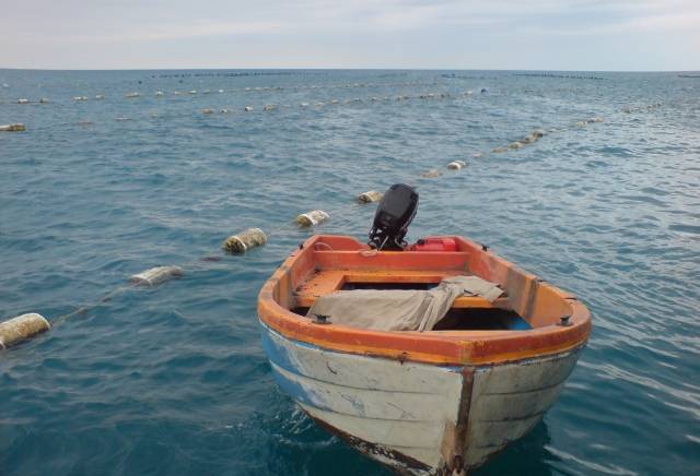 Морски Дарове ООД - град Каварна | Риболов и рибовъдство