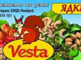Vesta Trading