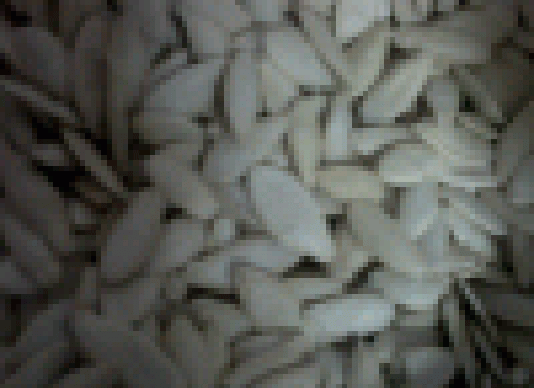 "братя-Пепеч"оод - село Поройно | Търговия