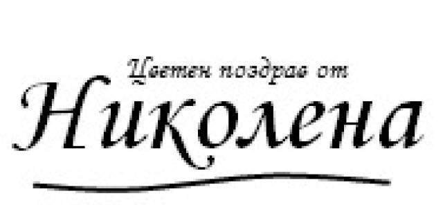 Николена 2001 - град Велико Търново | Цветя - отглеждане и търговия