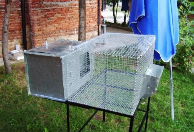 "Снип-арт" ЕООД - град Панагюрище | Животновъдство и кланници