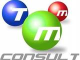 ТММ Консулт