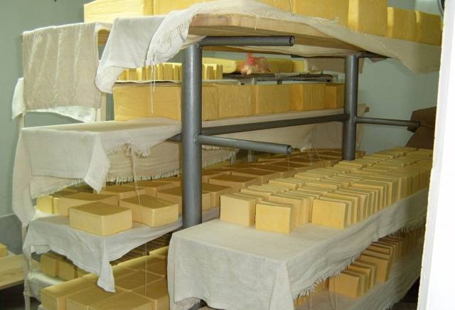 Матев-млекопродукт ЕООД - град Ловеч | Мляко и млечни изделия - снимка 6