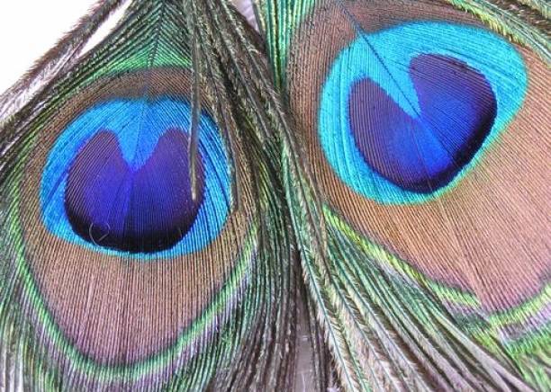 Ателие "Парейд" - град Плевен | Бижутерия и бижутериини услуги - снимка 3