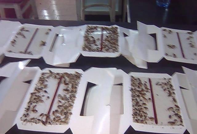 ЕТ "При бадема-ВЕДАР" - град София | Обезпаразитяване и дезинфекция - снимка 2