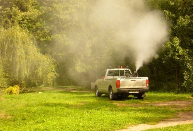 Дезинфекционна станция Монтана, град Монтана | Обезпаразитяване и дезинфекция - снимка 3