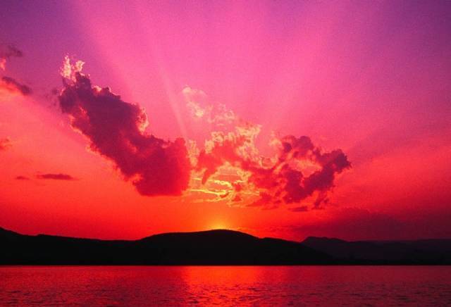 " Теди 07 " ООД - град София | Други автоуслуги и продукти - снимка 2