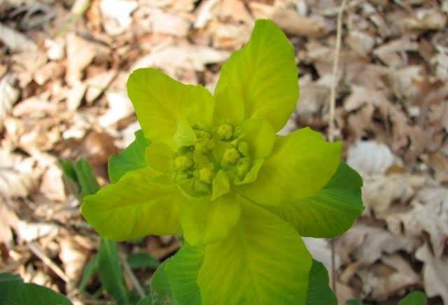 " Теди 07 " ООД - град София | Други автоуслуги и продукти - снимка 3