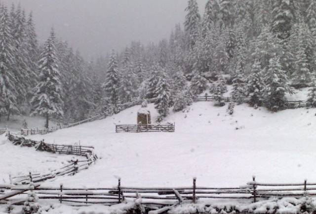 Буллес холдинг ЕООД - град София | Дървен материал