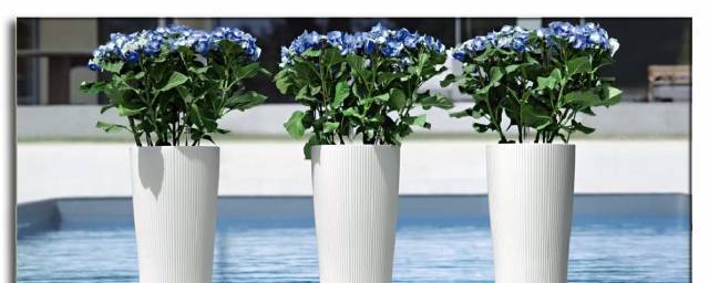 Glassman Ltd - град Копривщица | Стоки за дома - снимка 1