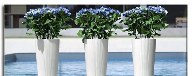 Glassman Ltd - град Копривщица | Стоки за дома - снимка 7