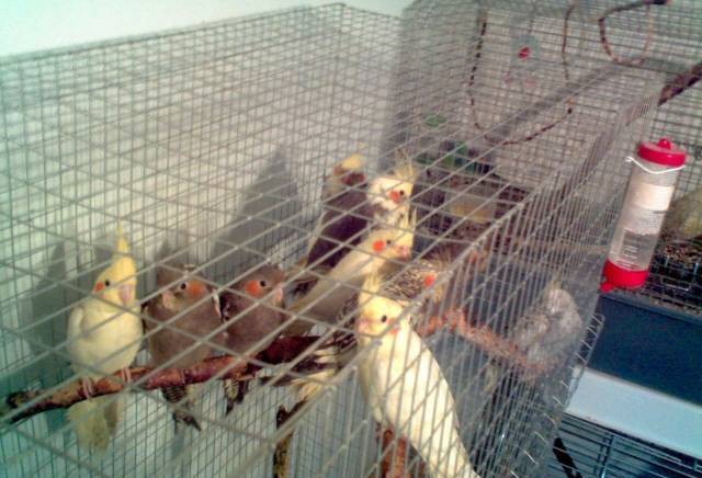 ЕТ "Карюк-Мариана Костова" - city of Sofia | Zoo Shops - снимка 3