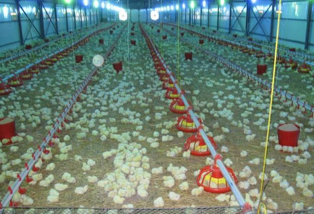 Ескейп-Груп ООД - град Търговище | Оборудване, машини и инструменти - снимка 4