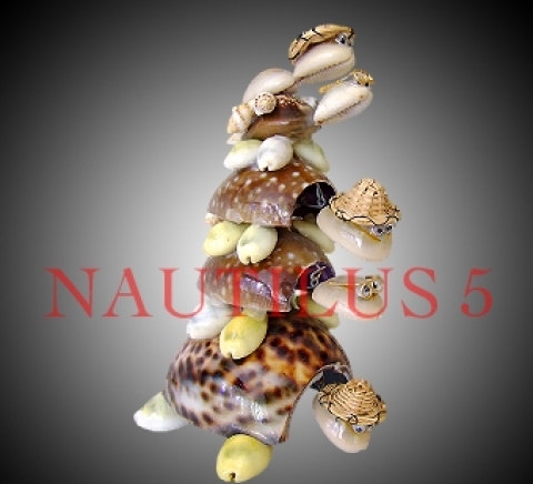 Наутилус 5 ЕООД - city of Varna | Online Stores - снимка 4