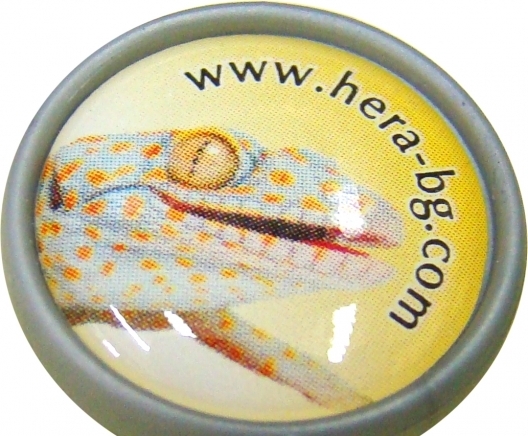 ХЕРА Адвертайзинг ООД - град Русе | Рекламни агенции и консултанти - снимка 2