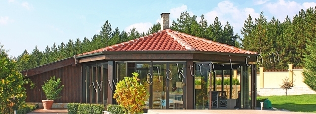 Електра-И ЕООД - град Стара Загора | Дограма и врати - снимка 5