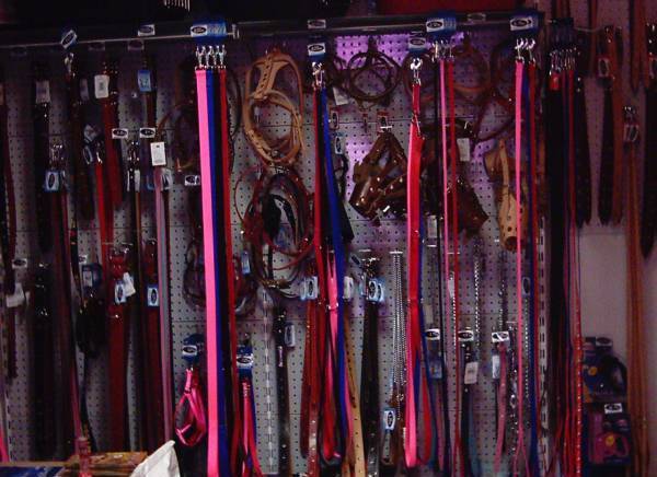 Еливет-Фарма - град Смолян | Зоомагазини - снимка 2