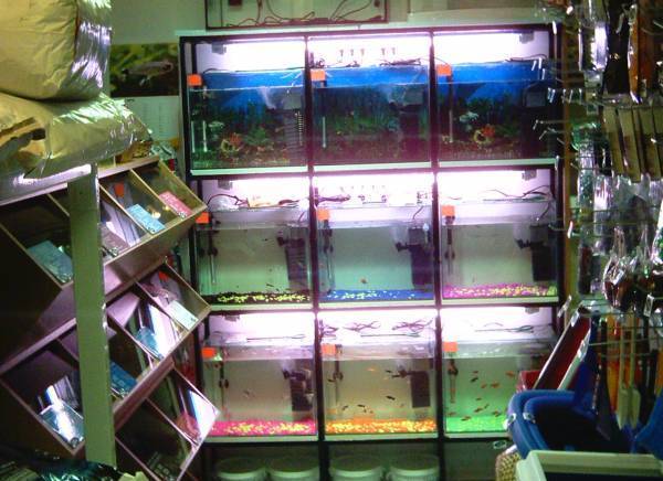 Еливет-Фарма - град Смолян | Зоомагазини - снимка 4