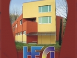 Нед