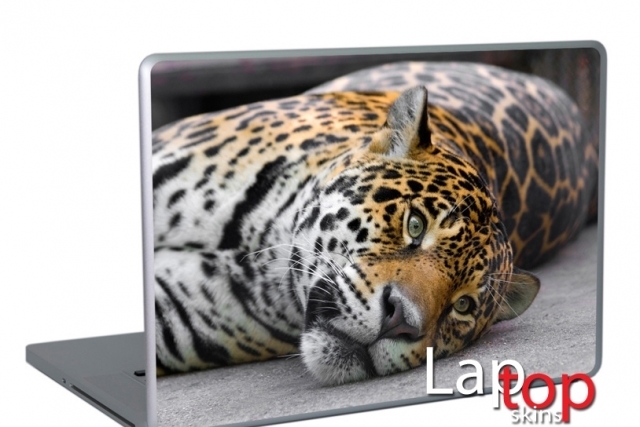 Аква Нет ООД - city of Sofia | Supplies and Accessories - снимка 6