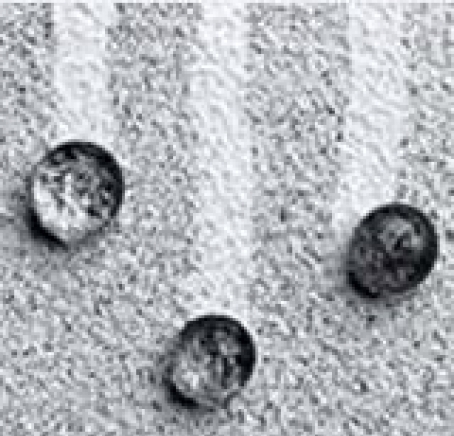 Three K import-export - Дистирбутор на Percenta AG - град София | Търговия - снимка 1