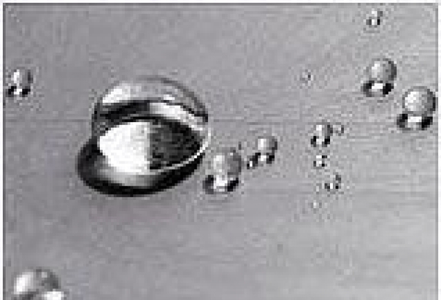 Three K import-export - Дистирбутор на Percenta AG - град София | Търговия - снимка 2