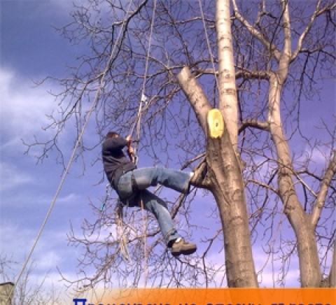 "Ей Джи Ай Мениджмънт" - ЕООД - city of Sofia | Landscaping and Planting - снимка 1