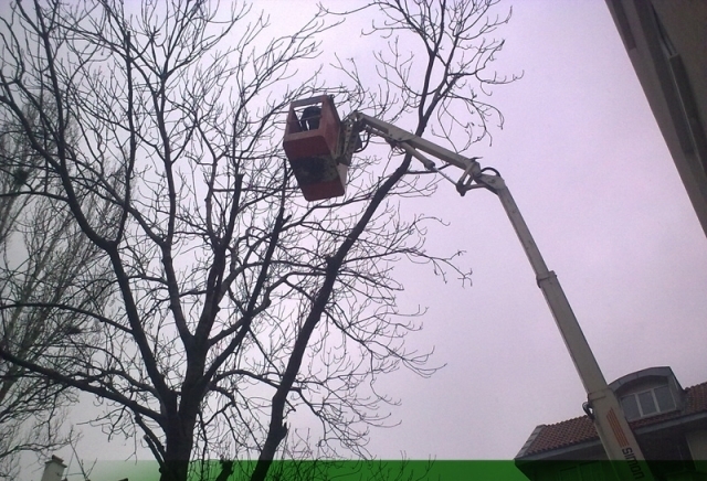 "Ей Джи Ай Мениджмънт" - ЕООД - city of Sofia | Landscaping and Planting - снимка 3