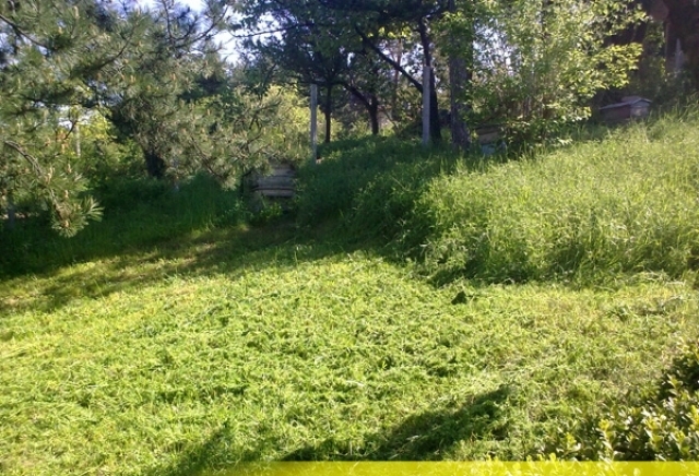 "Ей Джи Ай Мениджмънт" - ЕООД - city of Sofia | Landscaping and Planting - снимка 4