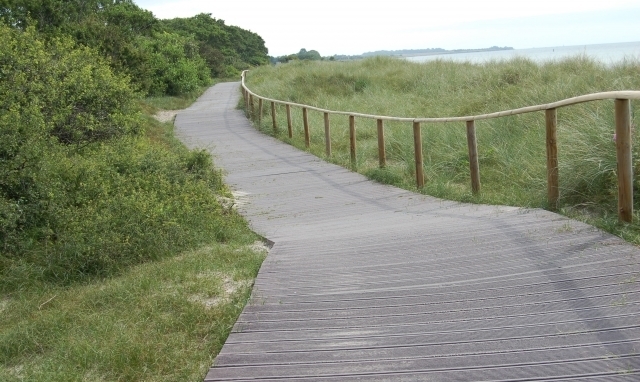 Hahn Kunststoffe GmbH - град София | Ландшафт и озеленяване - снимка 6