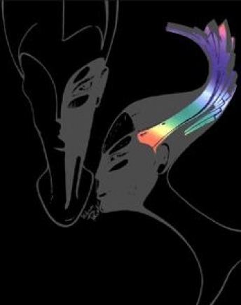 Верига фризьорски салони Бонита - град Бургас | Фризьорски и бюти салони - снимка 3