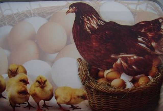 "Птицеферма Ямбол" - град Ямбол | Птицевъдство и кланници