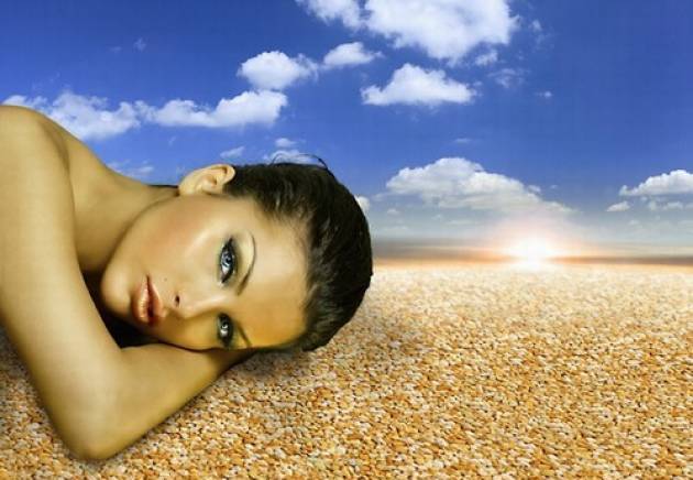 ММ стоун карпетс ООД - град Бургас | Подови настилки - снимка 1