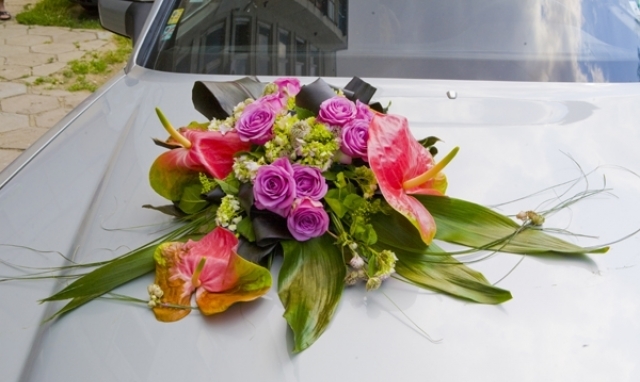 Bocreations - град Пловдив | Услуги - снимка 1