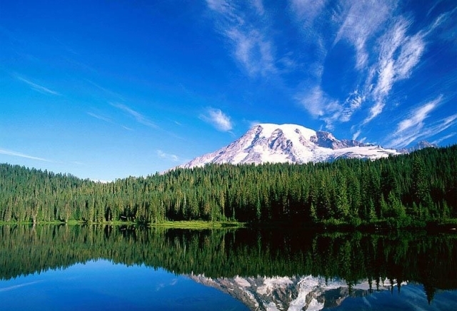 Магикиан - град София | Услуги