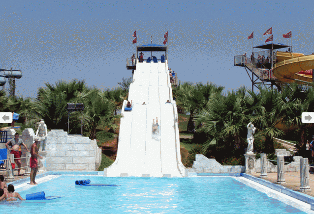 Цпо-"наиси" - град София | Асоциации, сдружения и фондации - снимка 5